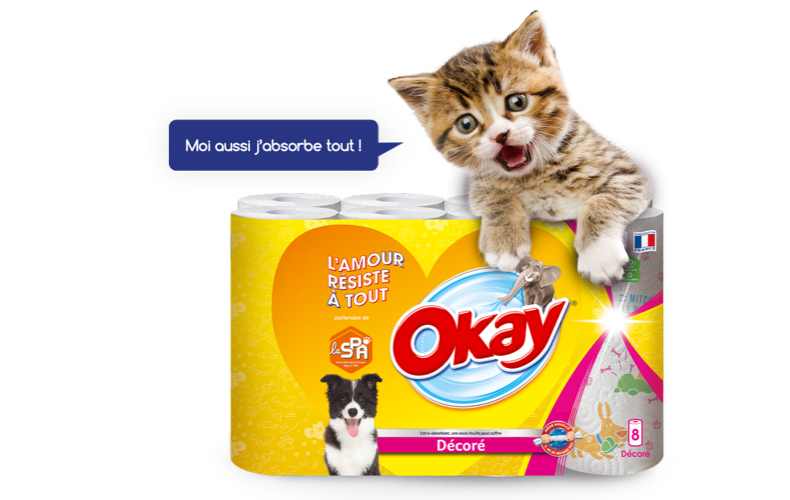 Des nouveaux packs qui ont du chien !