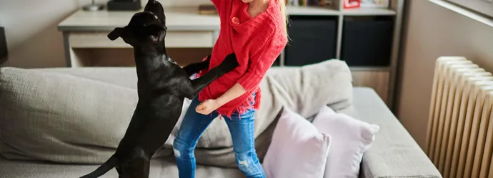 Een nieuwe puppy - checklist voor hondenbenodigdheden