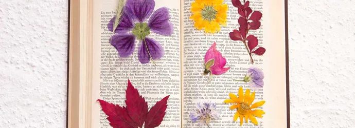 Fleurs séchées dans un livre ouvert