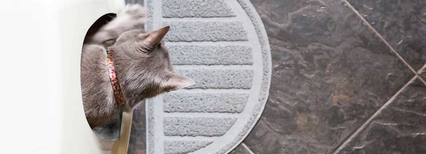 Comment Nettoyer La Litiere Du Chat Okay Comment Nettoyer La Litiere Du Chat Okay