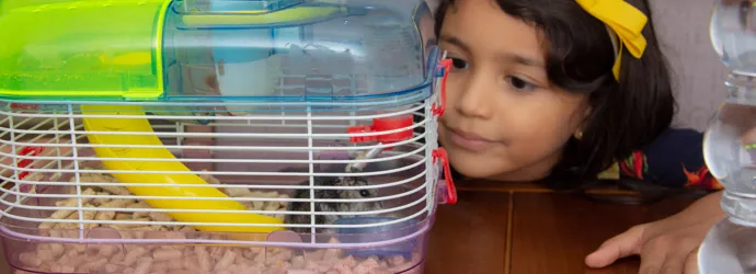 Petite fille observant un hamster dans sa cage