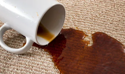 Tasse de café renversée sur un tapis
