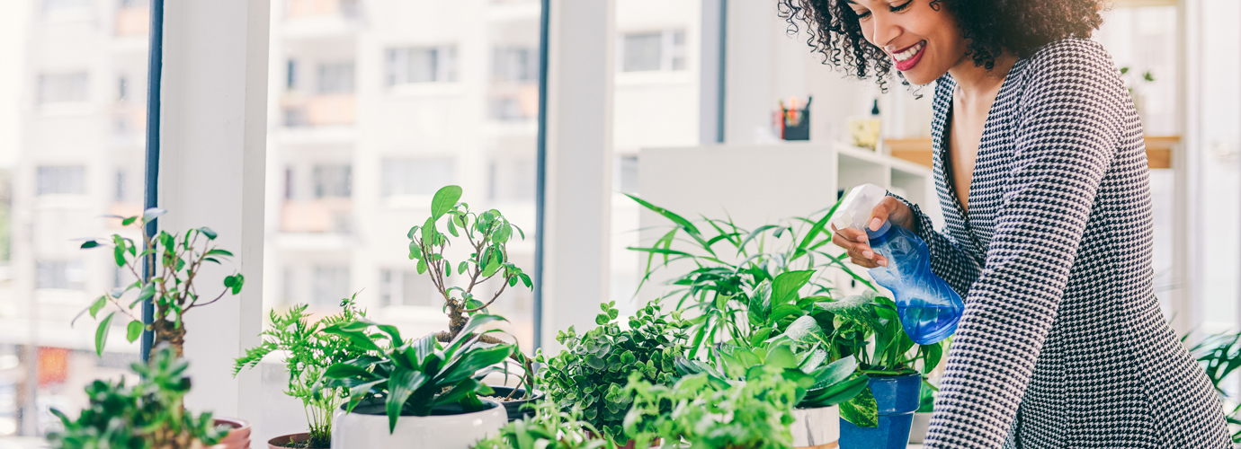 Comment faire des boutures ? Le guide pour débuter