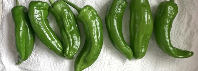 Comment conserver des légumes frais avec du papier essuie-tout