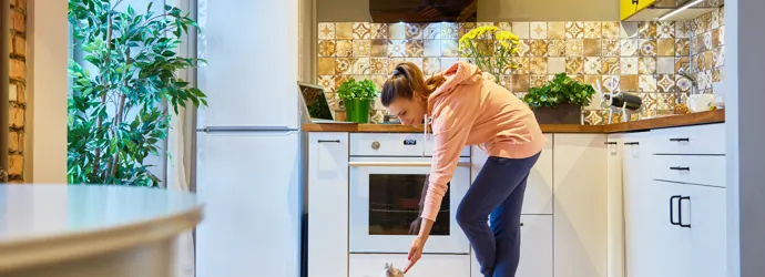 Décorer, dépolluer, déguster - les plantes pour la cuisine
