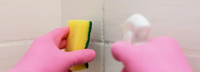 Comment vaincre la moisissure dans la salle de bain ?